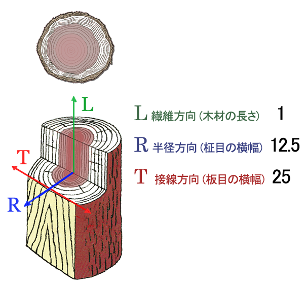 木材の収縮